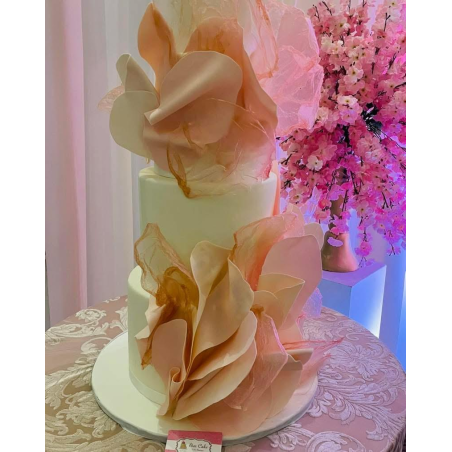 Pastel Maqueta 4872