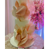 Pastel Maqueta 4872